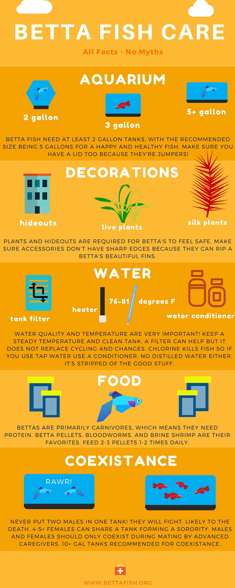 Betta Fish Care Infographic