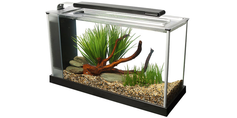 Easy care betta clearance tank