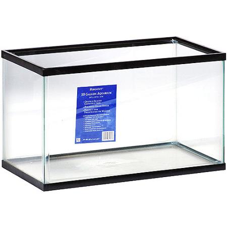 10 gallon fish tank