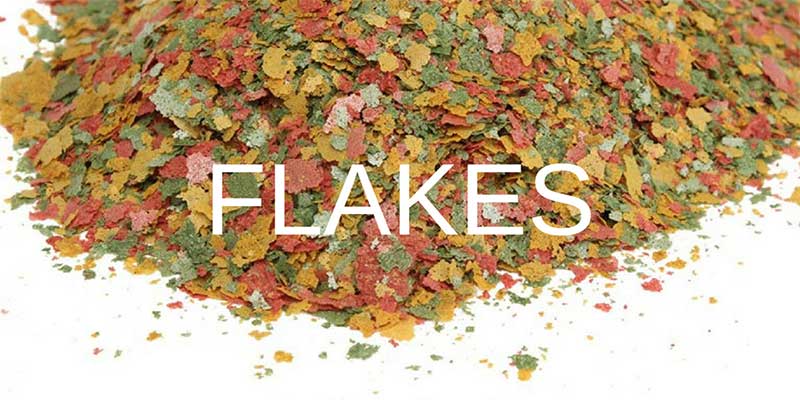 Betta buffet flakes best sale