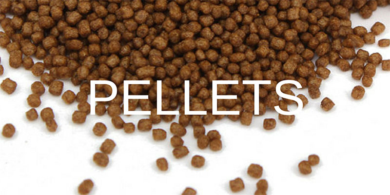 Betta fish shop food pellets